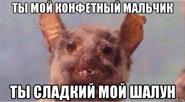 ты мой конфетный мальчик ты сладкий мой шалун