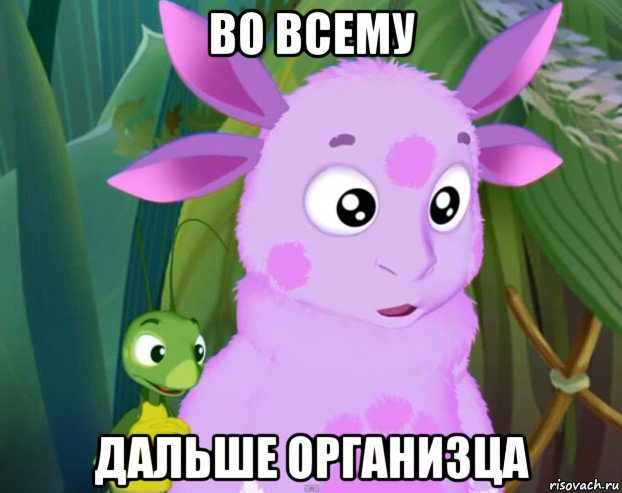 во всему дальше организца