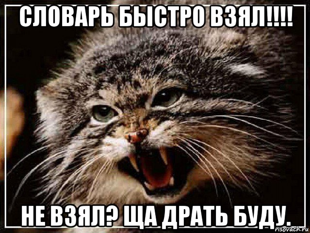 словарь быстро взял!!!! не взял? ща драть буду.