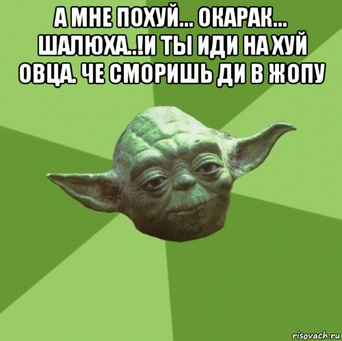 а мне похуй... окарак... шалюха..!и ты иди на хуй овца. че сморишь ди в жопу , Мем Мастер Йода