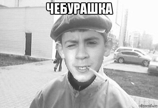 чебурашка 