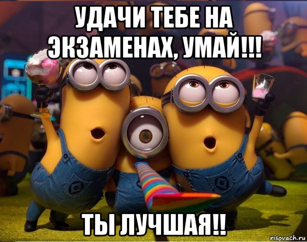 удачи тебе на экзаменах, умай!!! ты лучшая!!, Мем   миньоны