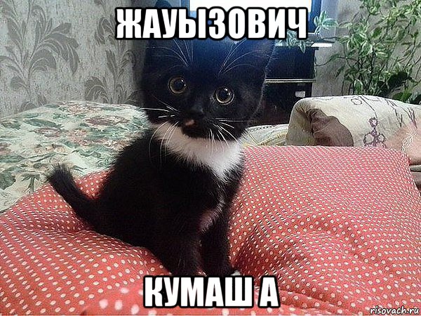жауызович кумаш а, Мем Мое лицо
