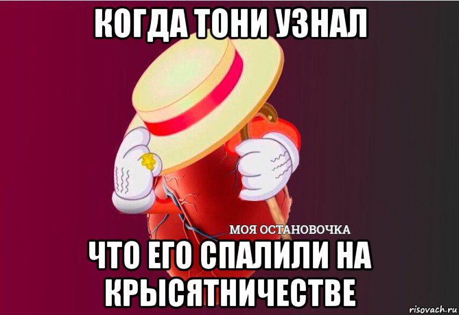 когда тони узнал что его спалили на крысятничестве, Мем   Моя остановочка