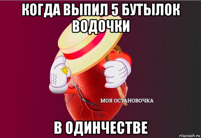 когда выпил 5 бутылок водочки в одинчестве, Мем   Моя остановочка