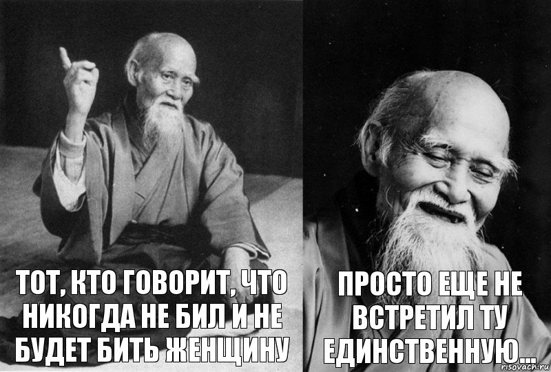 Тот, кто говорит, что никогда не бил и не будет бить женщину просто еще не встретил ту единственную..., Комикс Мудрец-монах (2 зоны)