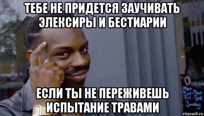 тебе не придется заучивать элексиры и бестиарии если ты не переживешь испытание травами, Мем Не делай не будет