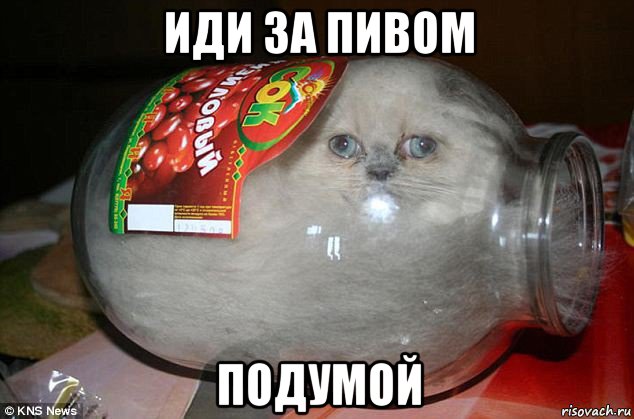 иди за пивом подумой