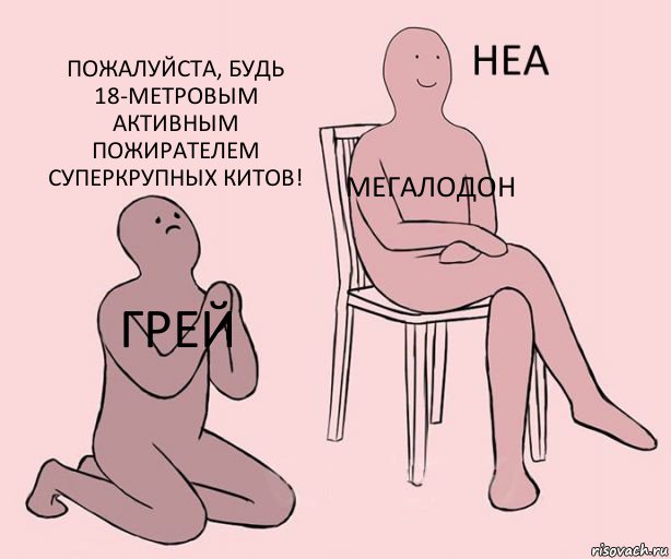 Грей Мегалодон пожалуйста, будь 18-метровым активным пожирателем суперкрупных китов!, Комикс Неа