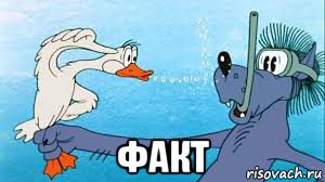  факт