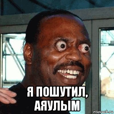  я пошутил, аяулым