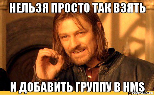 нельзя просто так взять и добавить группу в hms