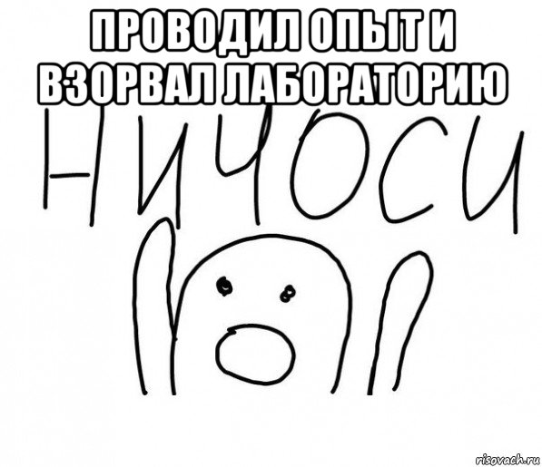 проводил опыт и взорвал лабораторию , Мем  Ничоси