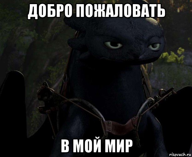 добро пожаловать в мой мир