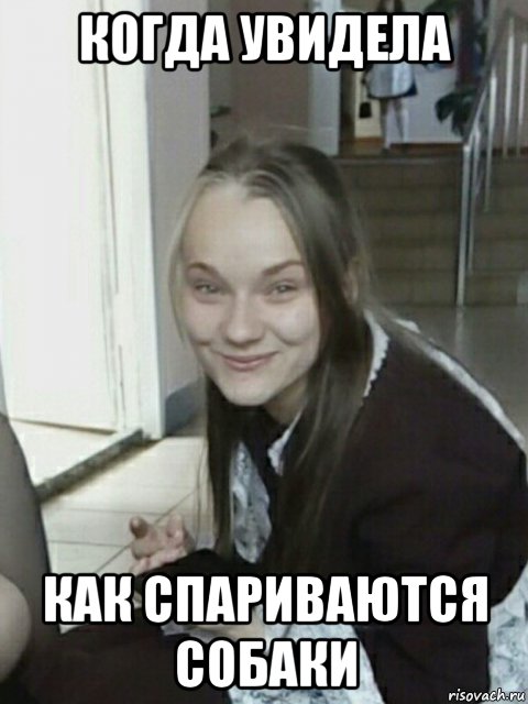 когда увидела как спариваются собаки, Мем Няя