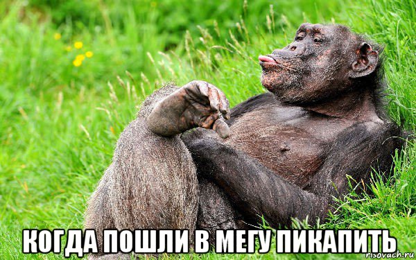  когда пошли в мегу пикапить, Мем О