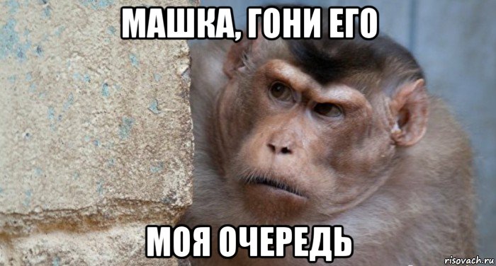 машка, гони его моя очередь