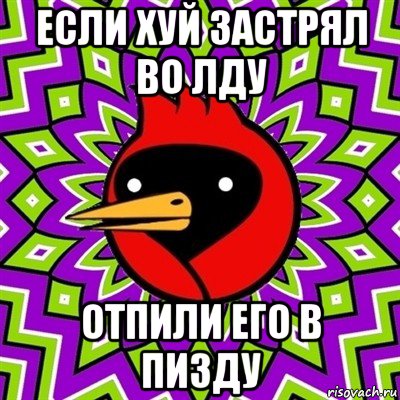 если хуй застрял во лду отпили его в пизду, Мем Омская птица