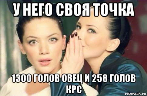 у него своя точка 1300 голов овец и 258 голов крс, Мем  Он