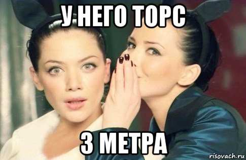 у него торс 3 метра, Мем  Он