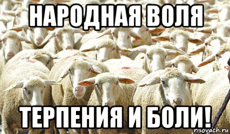 народная воля терпения и боли!
