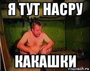 я тут насру какашки