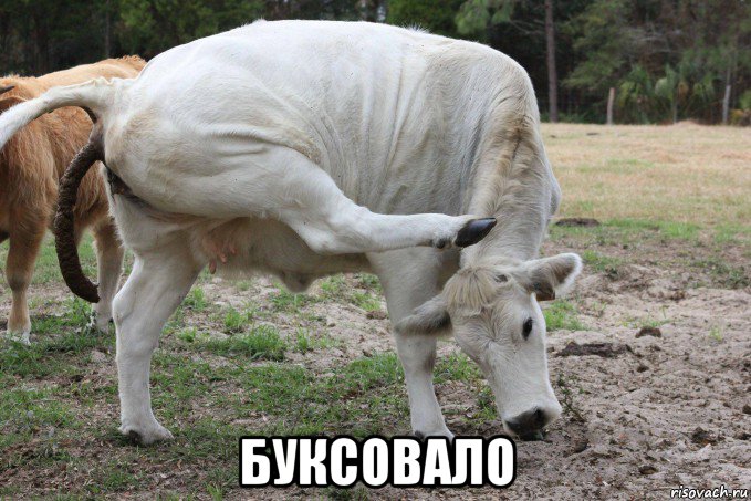  буксовало