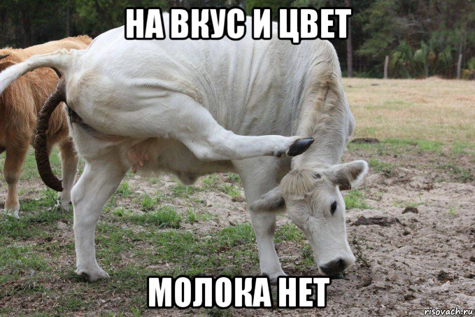 на вкус и цвет молока нет