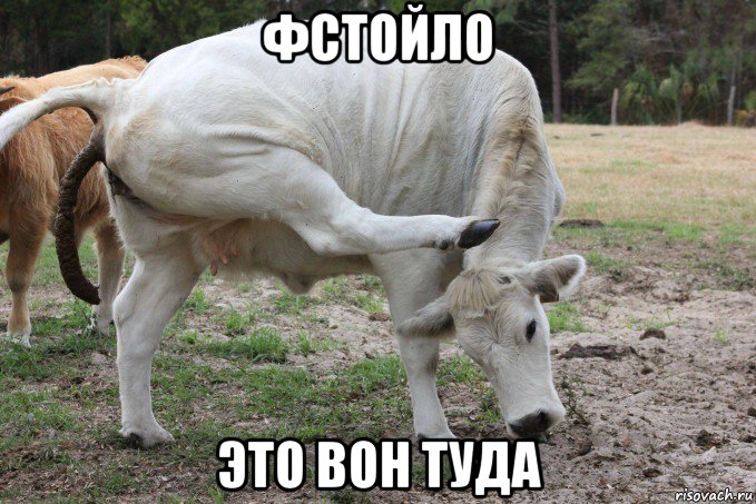 фстойло это вон туда