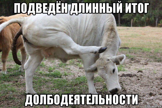 подведён длинный итог долбодеятельности