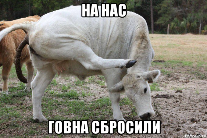 на нас говна сбросили