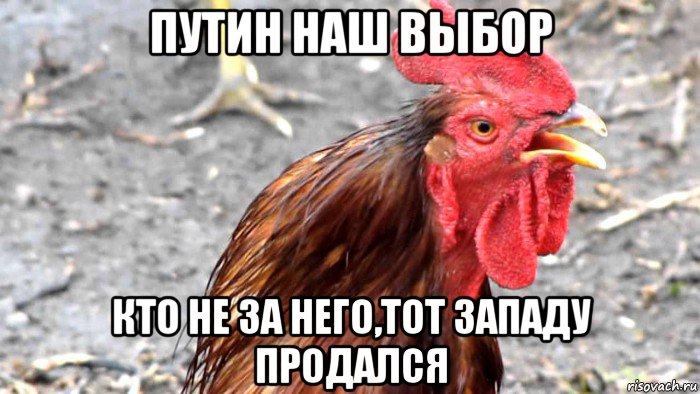 путин наш выбор кто не за него,тот западу продался