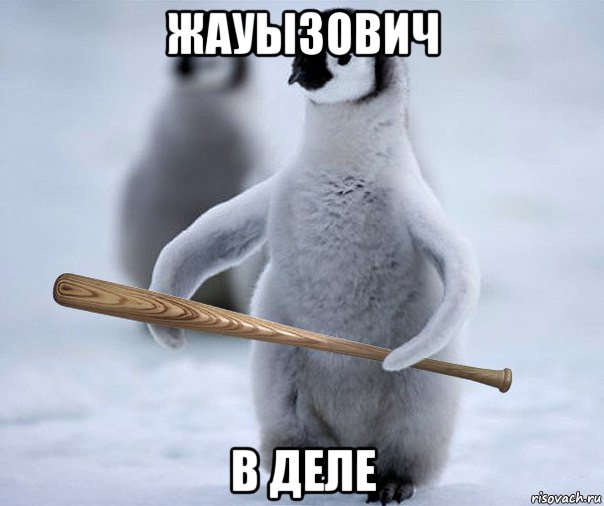жауызович в деле, Мем Пингвин  Гопник