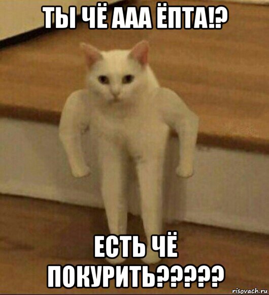 ты чё ааа ёпта!? есть чё покурить?????, Мем  Полукот