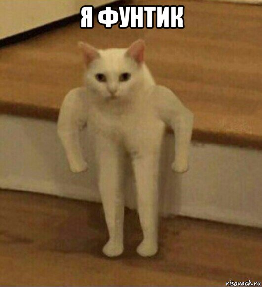 я фунтик , Мем  Полукот