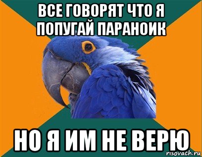 все говорят что я попугай параноик но я им не верю, Мем Попугай параноик