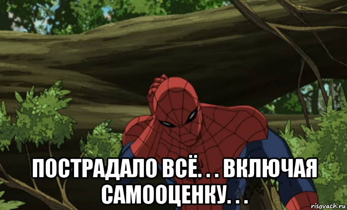  пострадало всё. . . включая самооценку. . ., Мем Пострадало всё