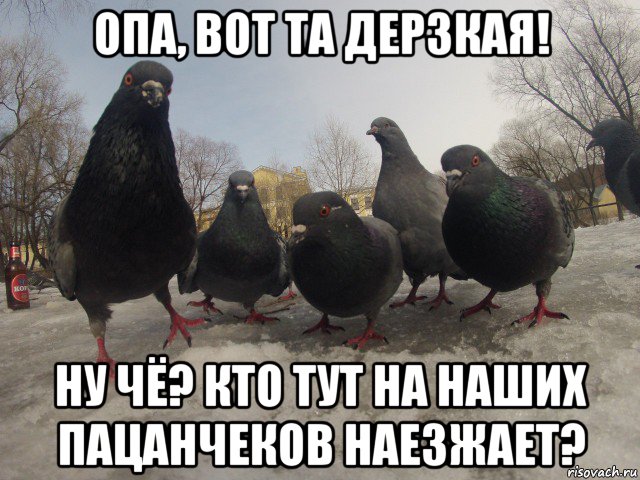опа, вот та дерзкая! ну чё? кто тут на наших пацанчеков наезжает?