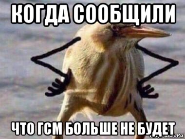 когда сообщили что гсм больше не будет