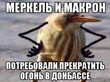 меркель и макрон потребовали прекратить огонь в донбассе