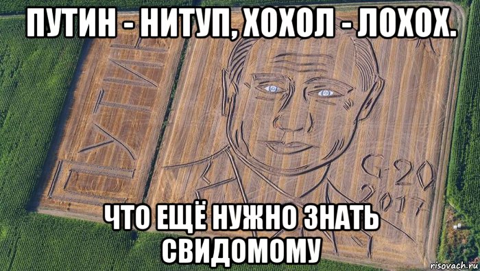 путин - нитуп, хохол - лохох. что ещё нужно знать свидомому, Мем Путин G20 2017