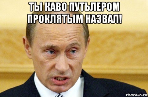 ты каво путьлером проклятым назвал! , Мем путин