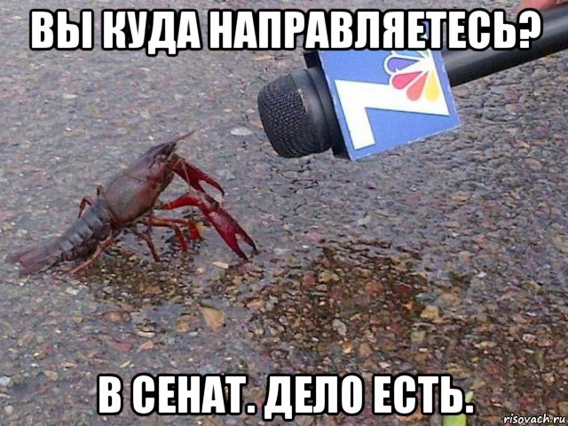 вы куда направляетесь? в сенат. дело есть.