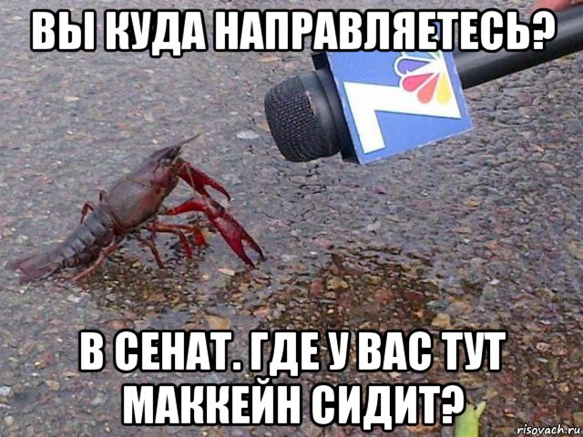 вы куда направляетесь? в сенат. где у вас тут маккейн сидит?