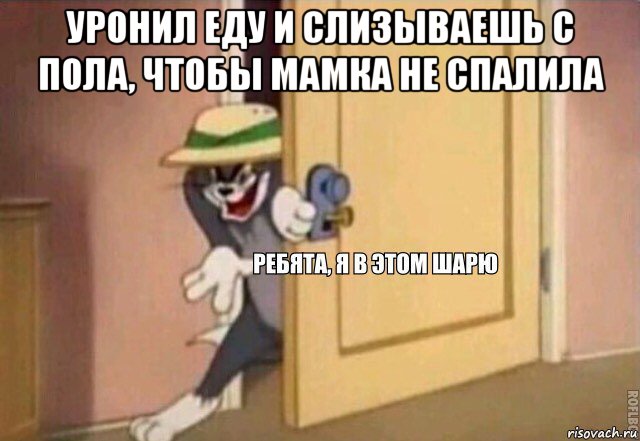 уронил еду и слизываешь с пола, чтобы мамка не спалила , Мем    Ребята я в этом шарю