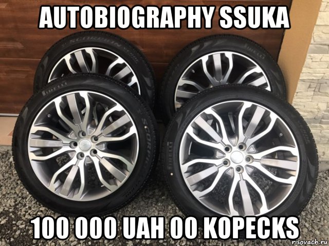 autobiography ssuka 100 000 uah 00 kopecks, Мем Rims