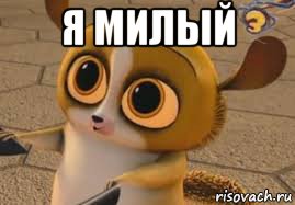 я милый , Мем Рт