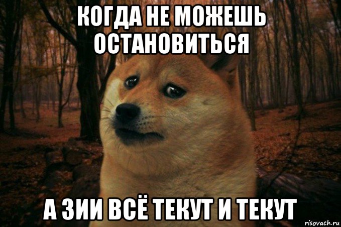 когда не можешь остановиться а зии всё текут и текут, Мем SAD DOGE