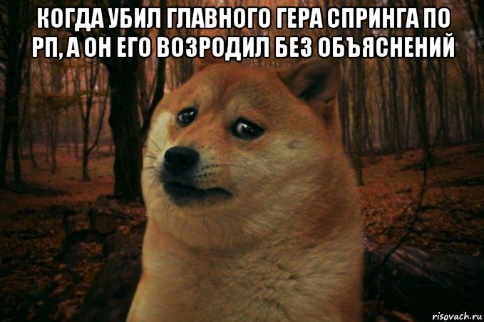 когда убил главного гера спринга по рп, а он его возродил без объяснений , Мем SAD DOGE