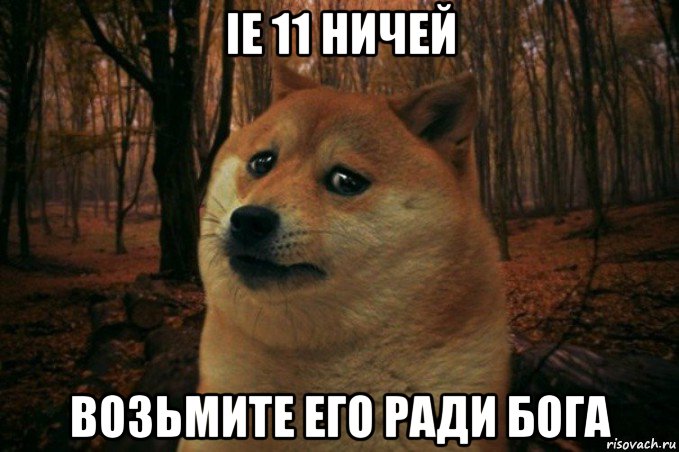 ie 11 ничей возьмите его ради бога, Мем SAD DOGE